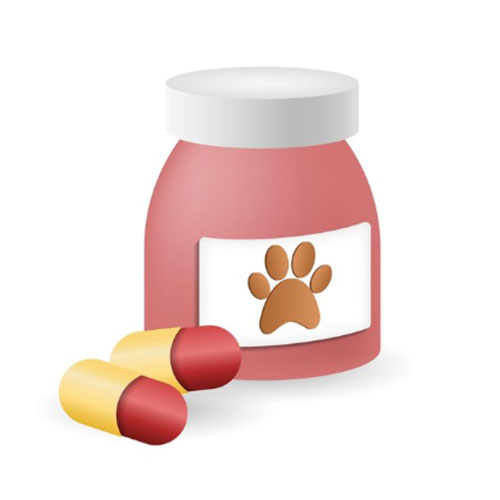 Meloxicam + Paracetamol + Serratiopeptidase Bolus (Vet.) Only for Veterinary Use