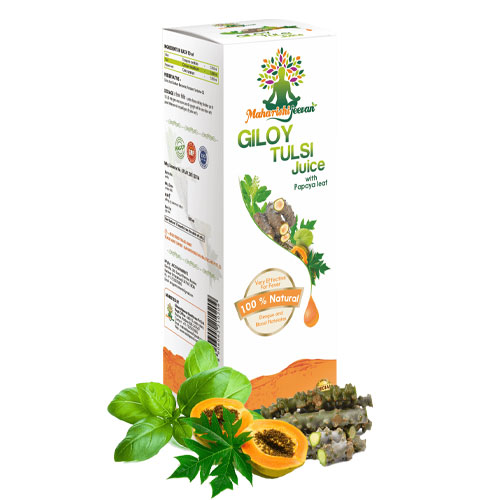 GILOY TULSI JUICE 500ML