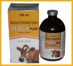 MELOGIN PLUS INJECTION