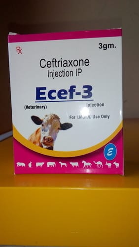 Ecef-3 Veterinary Injection