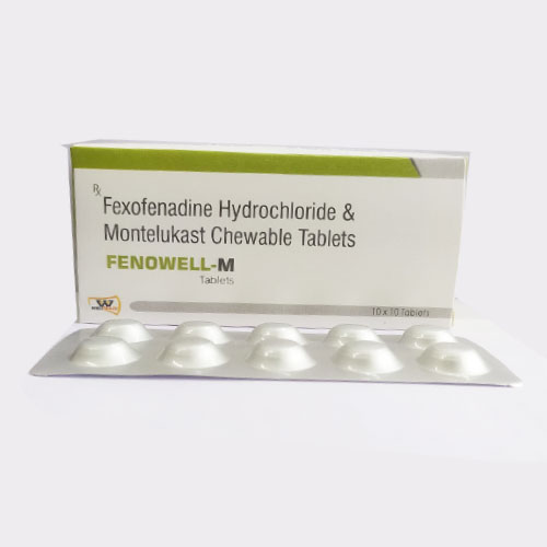 FENOWELL-M Tablets