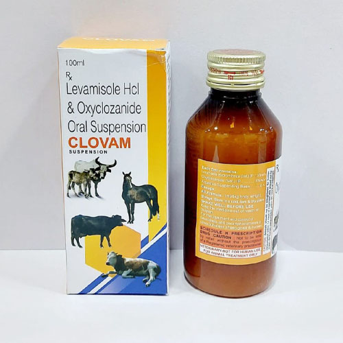 CLOVAM Syrup
