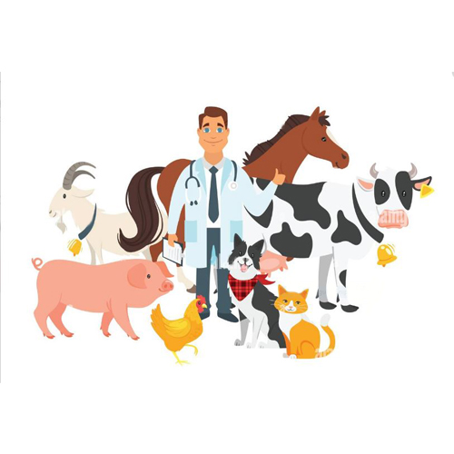 Albendazole Veterinary Oral Suspension  IP (For Veterinary use only)