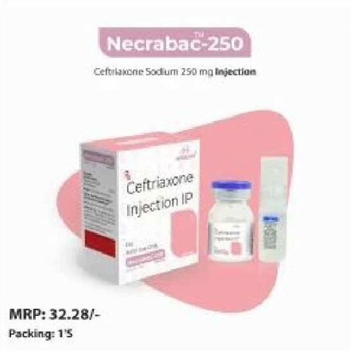 Necrabac-250 Injection