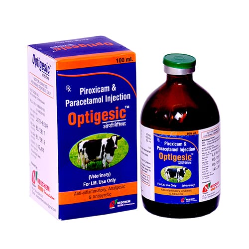 PIROXICAM & PARACETAMOL-100ml Liq.Injection(Vet.)