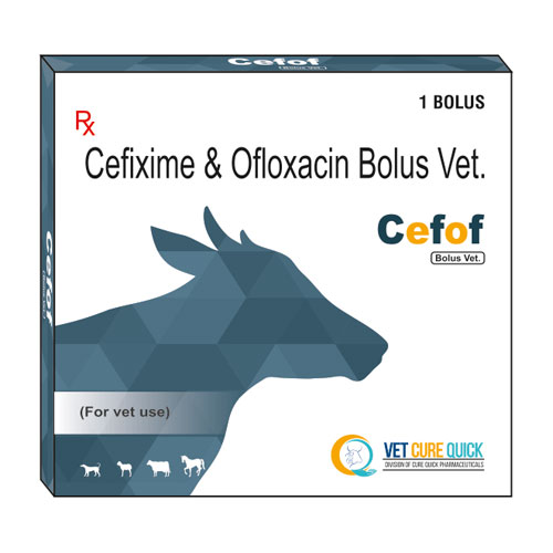 CEFOF Bolus
