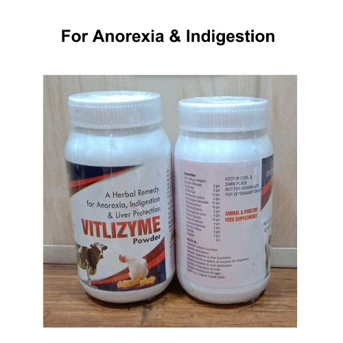 VITLIZYME 500GM POWDER