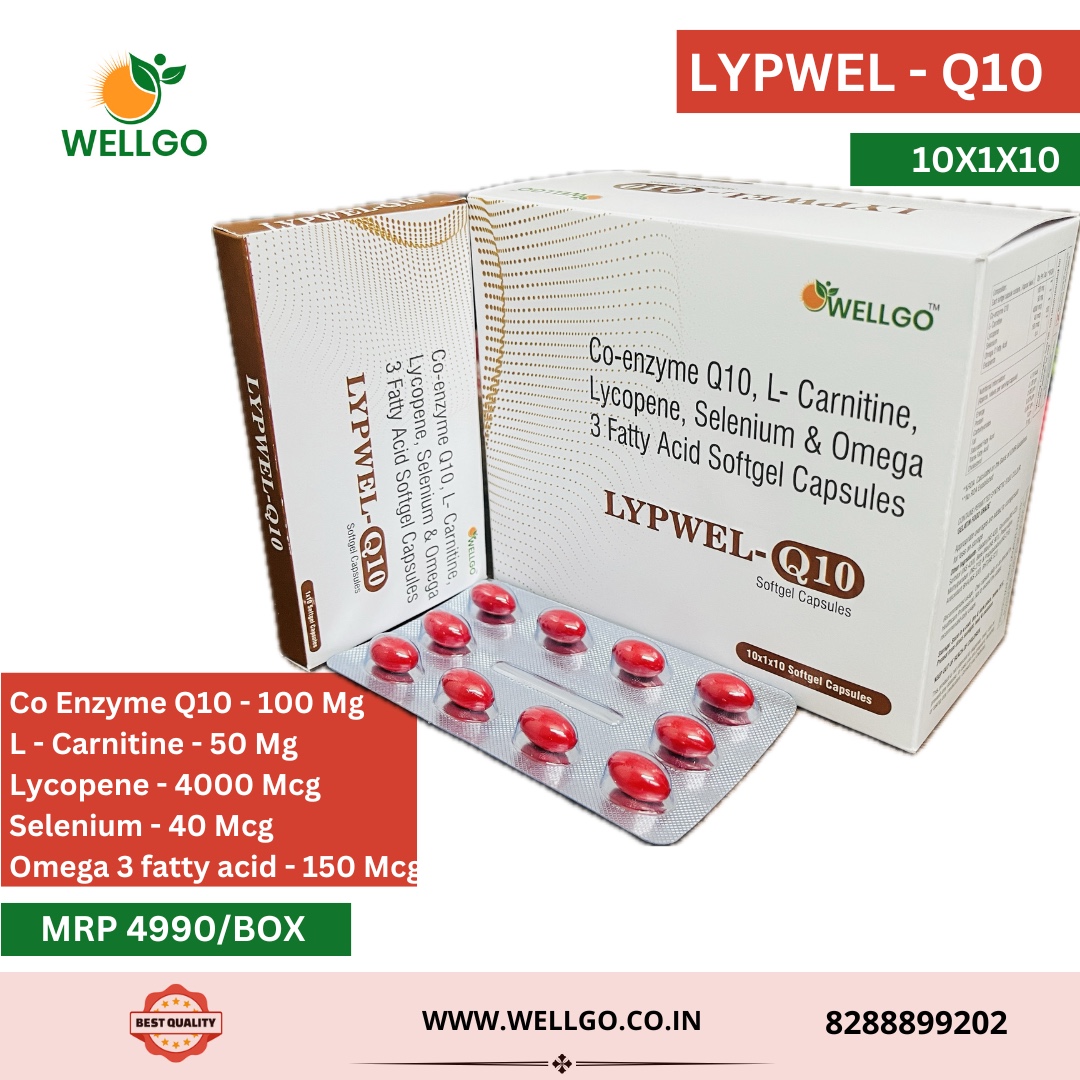 LYPWEL Q10
