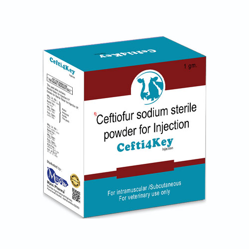 Cefti4Key Injection