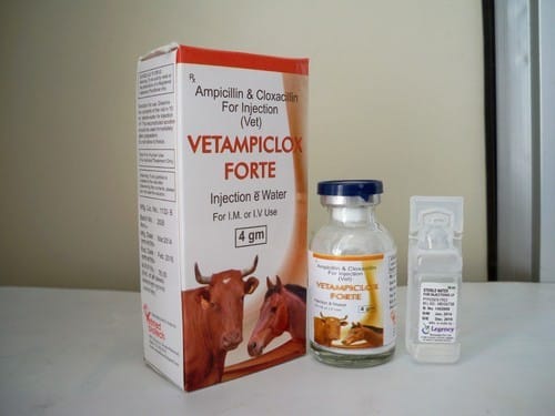 Vetampiclox Forte Injection