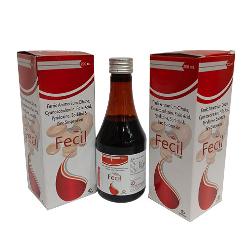 FECIL SUSPENSION