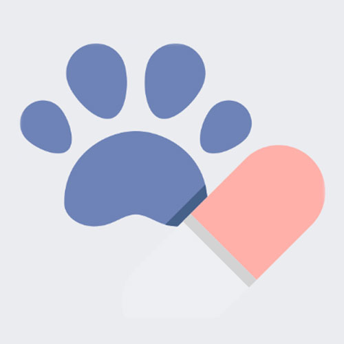 Vitamin B-Complex Injection (Vet.) 