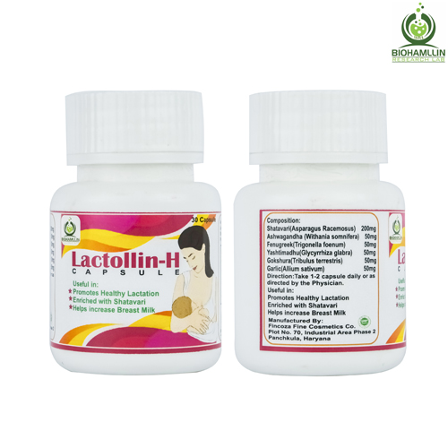 LACTOLLIN-H Capsules