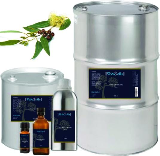 EUCALYPTUS ESSENTIAL OILS