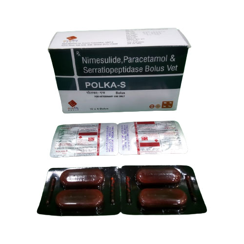 POLKA-S BOLUS
