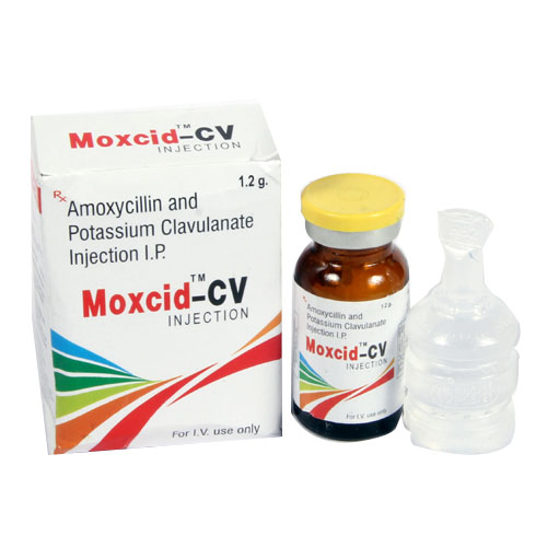 MOXCID-CV 1.2gm Injection
