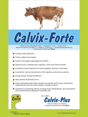 CALVIX-PLUS Bolus