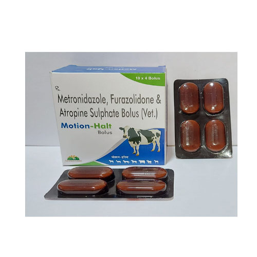 MOTION-HALT Bolus