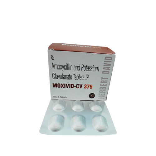 MOXIVID-CV 375 Tablets (10x6  ALU ALU )