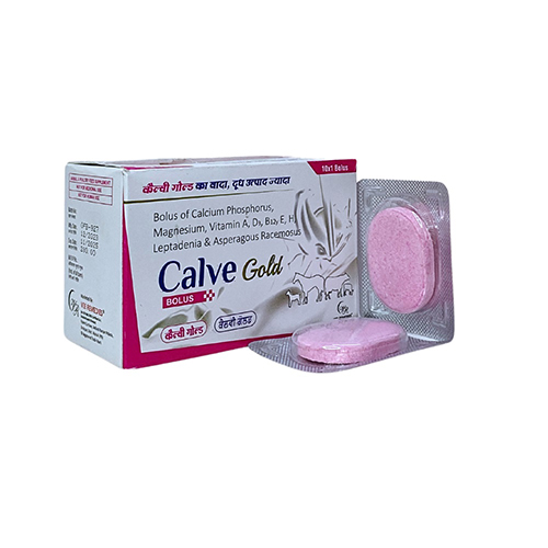 CALVE-GOLD BOLUS