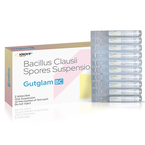 Gutglam-BC Suspension
