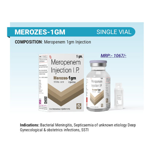 MEROZES-1GM INJECTION