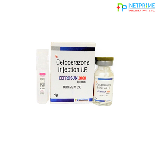CEFROSUN-1000 Injection