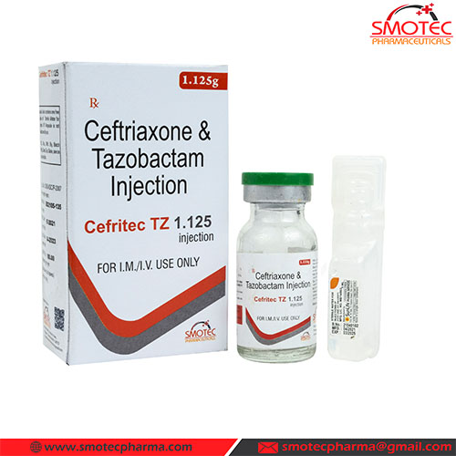 CEFRITEC-TZ 1.125 Injection