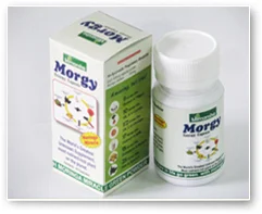 Morgy Energy Capsule