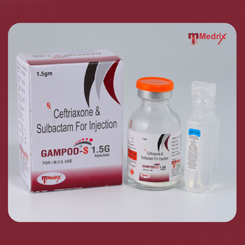 GAMPOD-S 1.5GM Injection