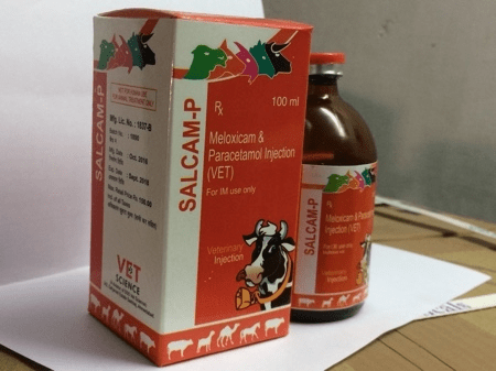 SALCAM-P Injection