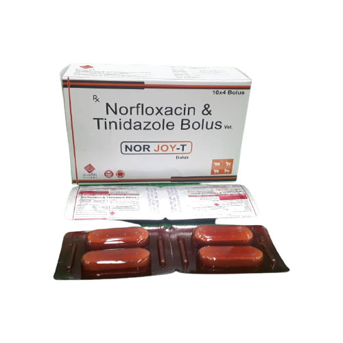 NOR-JOY T BOLUS