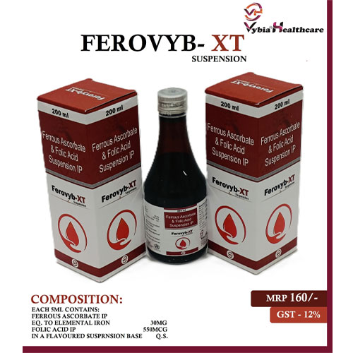FEROVYB-XT SUSPENSION