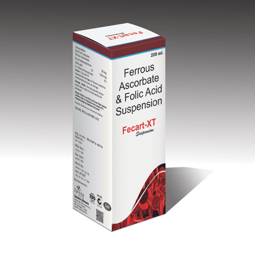 Fecart-XT Suspension