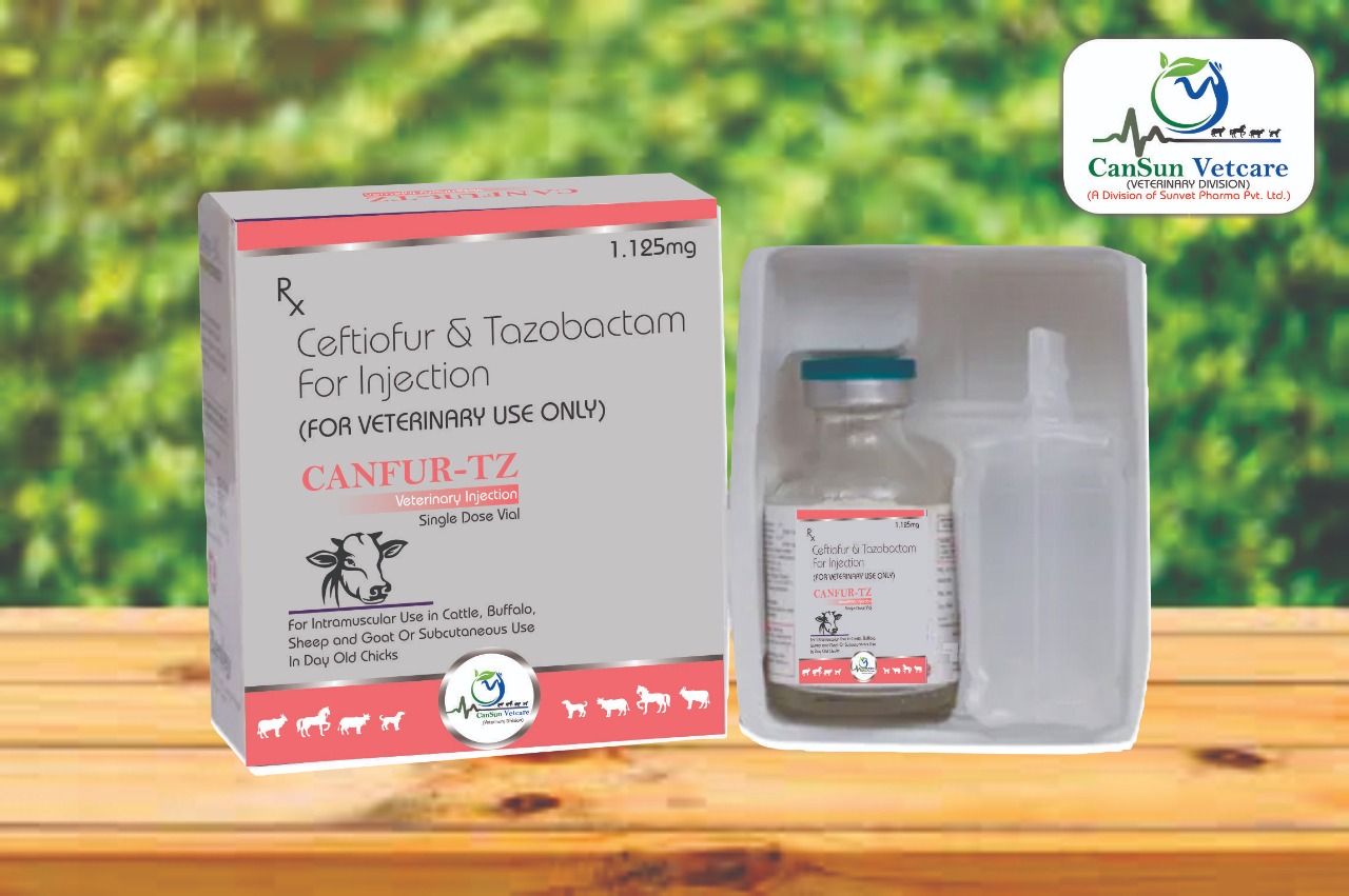Ceftiofur with Tazobactam 1125 mg injection 