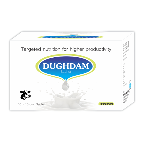 DUGHDAM Powder Sachets