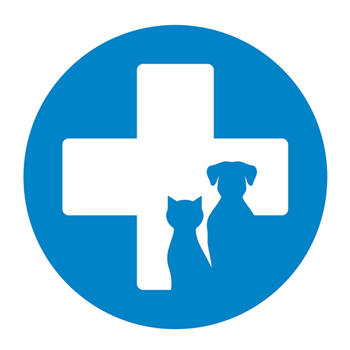 Ciprofloxacin Hydrochloride Powder 10% w/w. (for Veterinary use Only)