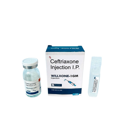 WILLXONE-1G INJECTION