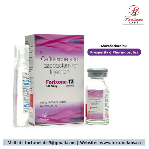 FORIXONE-TZ 562.50 Injection