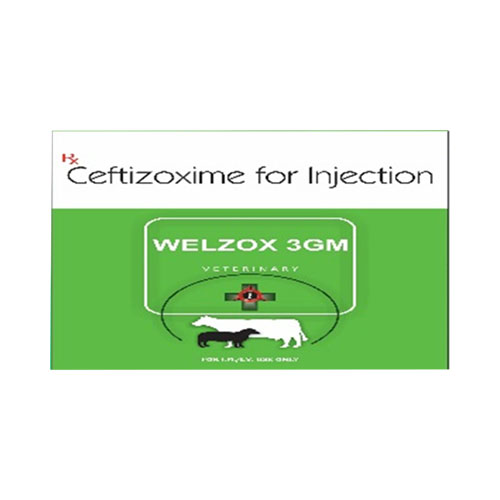 WELZOX-3GM INJECTION