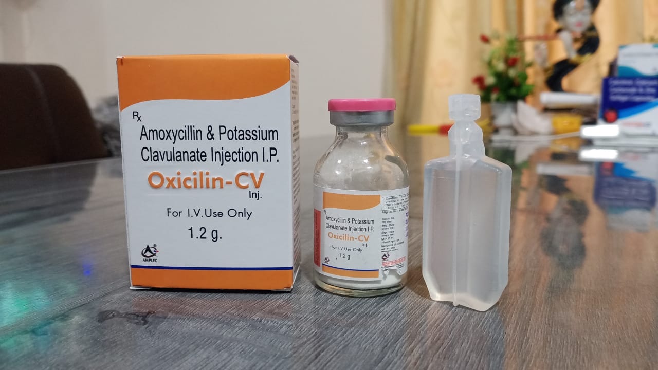 oxicillin cv injection