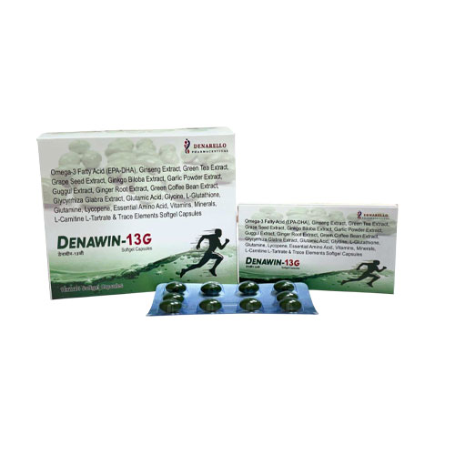 DENAWIN-13G