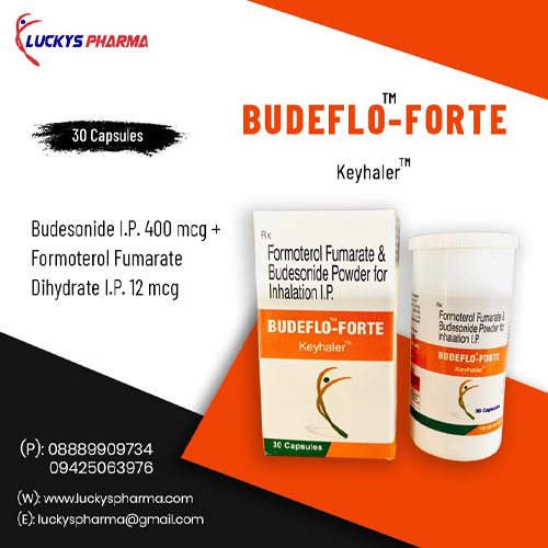 BUDEFLO-FORTE Keyhaler
