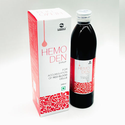 HEMODEN 300ml Syrup