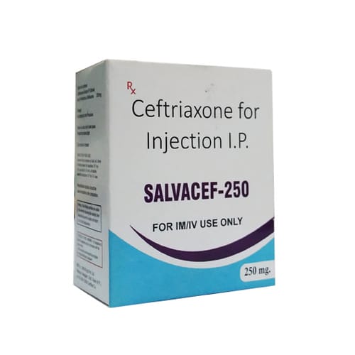 Salvacef 250 Injection