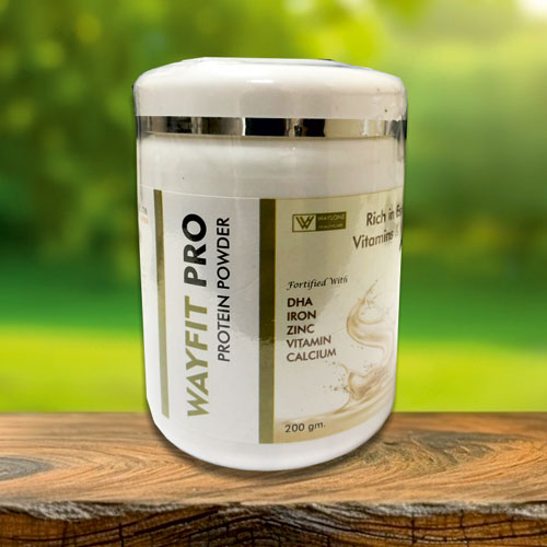 WAYFIT-PRO Protein Powder