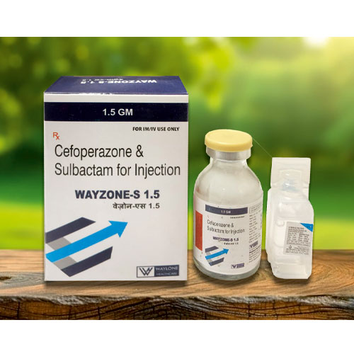 WAYZONE-S 1.5 Injections