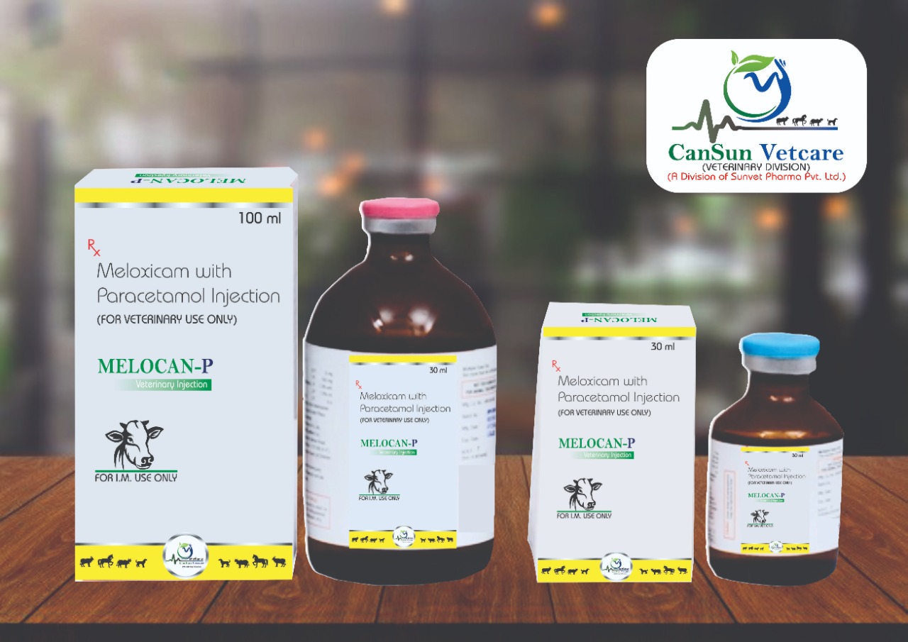 Meloxicam With Paracetamol veterinary injection in Third party manufacturing