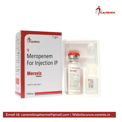 MEROVIX INJECTION