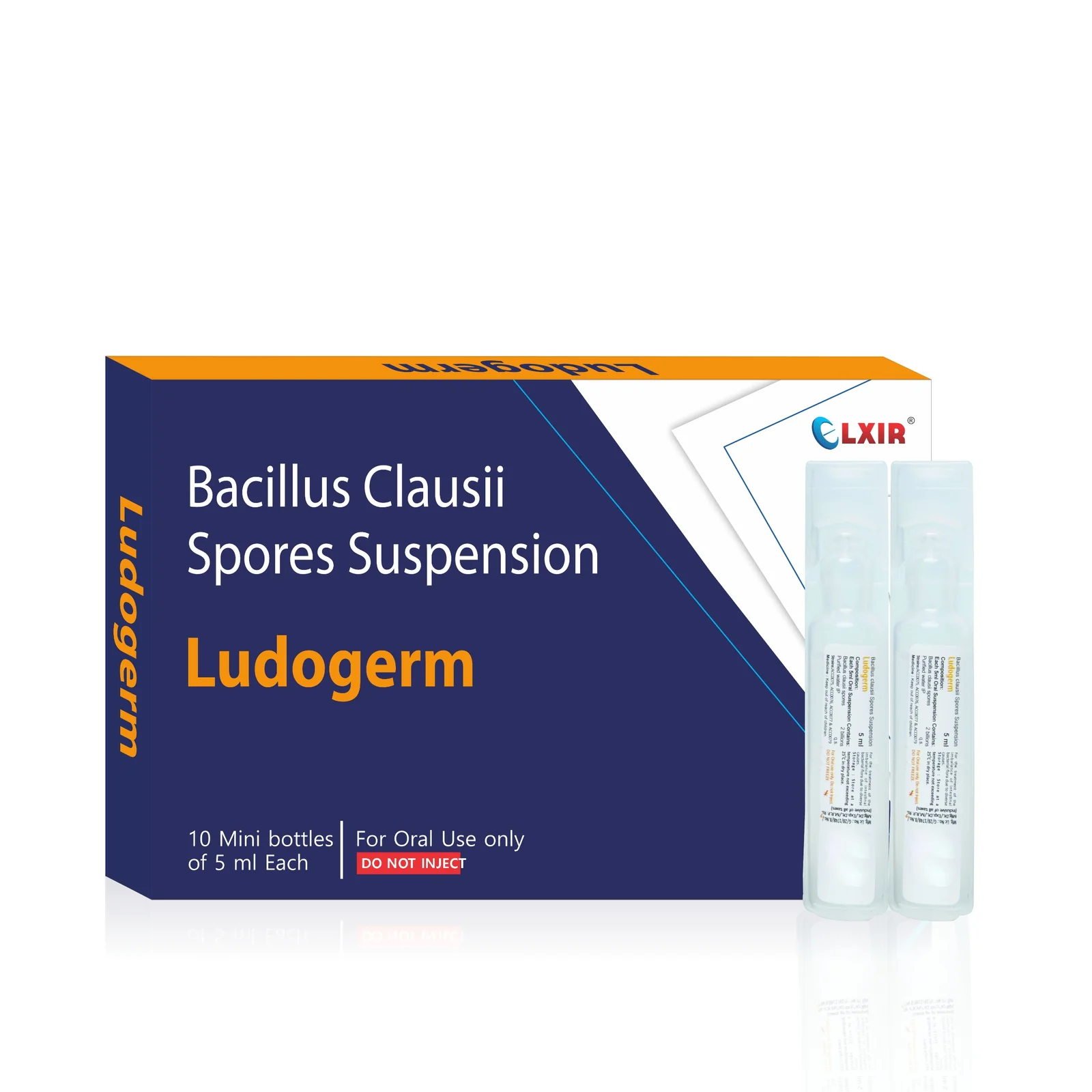 LUDOGERM Suspension